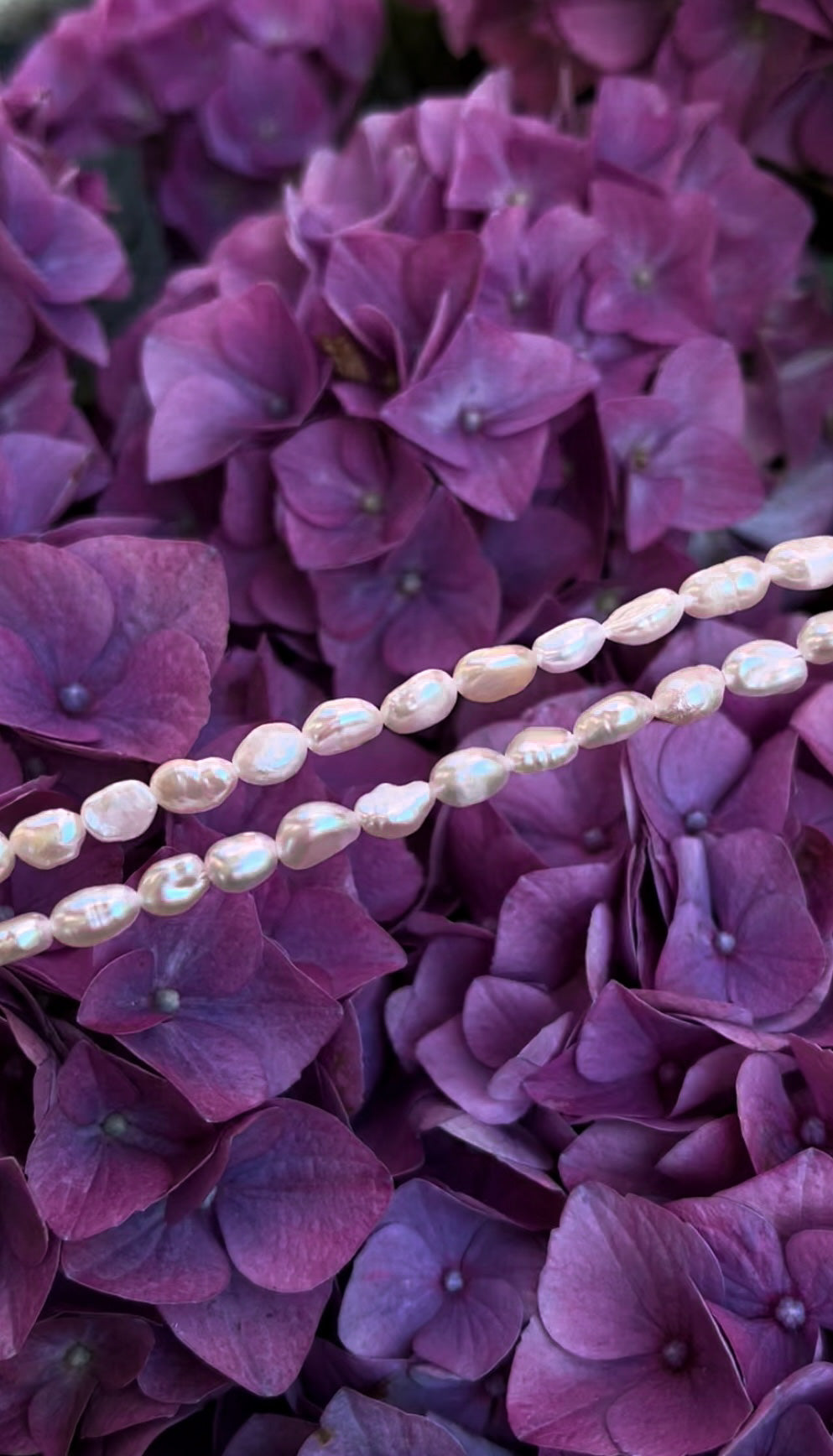 Iberis Necklace